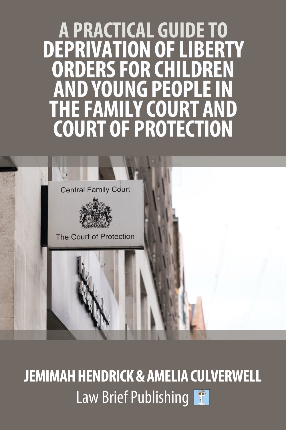 'A Practical Guide to Deprivation of Liberty Orders for Children and Young People in the Family Court and Court of Protection' by Jemimah Hendrick & Amelia Culverwell